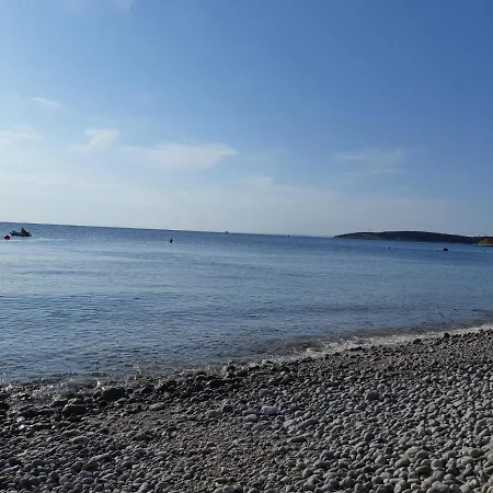 New Holliday House Ardura Štivan