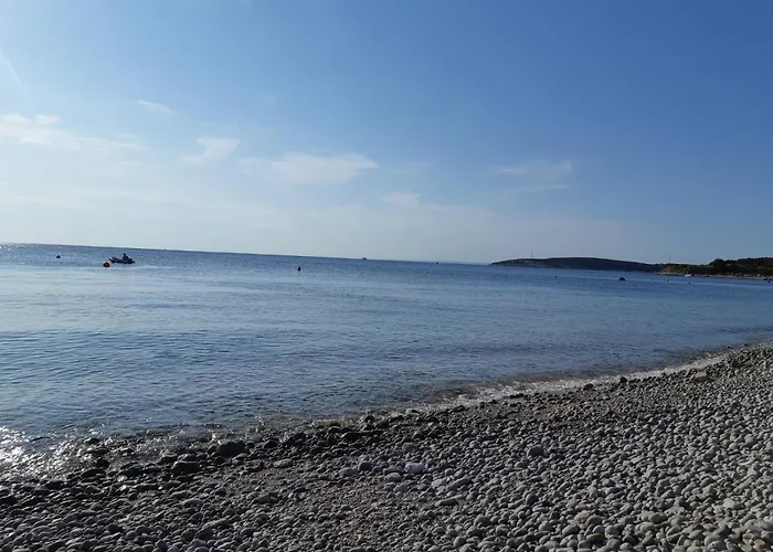 New Holliday House Ardura Štivan